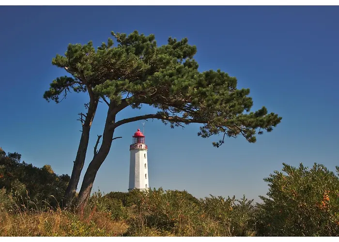 Vineta Undine Am Nationalpark Vorpommersche Boddenlandschaft An Der Ostsee アパート Fuhlendorf