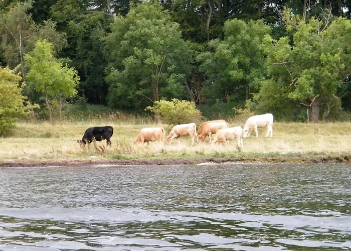 Vineta Undine Am Nationalpark Vorpommersche Boddenlandschaft An Der Ostsee アパート Fuhlendorf