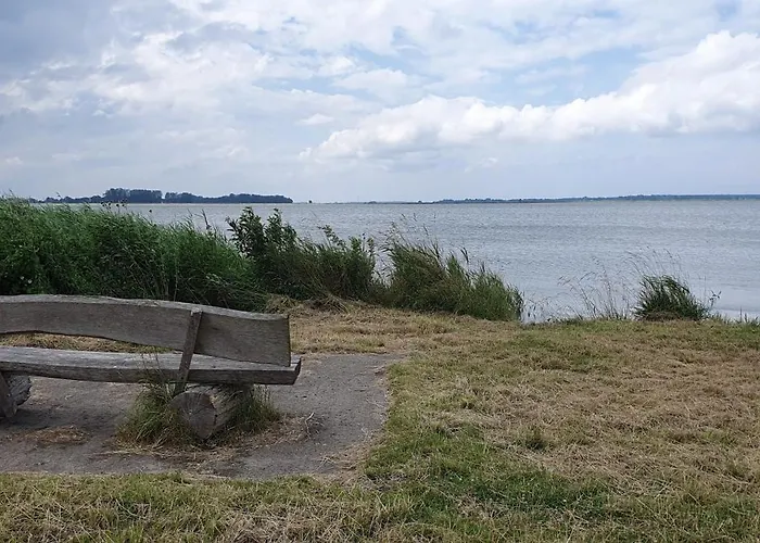 Vineta Undine Am Nationalpark Vorpommersche Boddenlandschaft An Der Ostsee アパート *