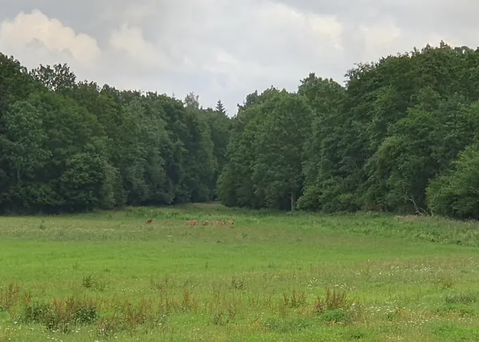 アパート Vineta Undine Am Nationalpark Vorpommersche Boddenlandschaft An Der Ostsee
